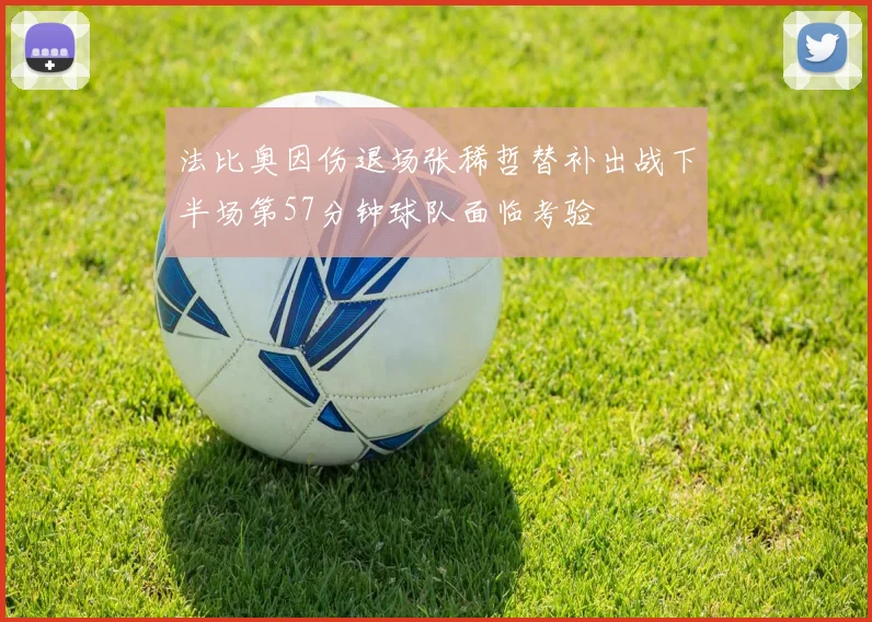 法比奥因伤退场张稀哲替补出战下半场第57分钟球队面临考验